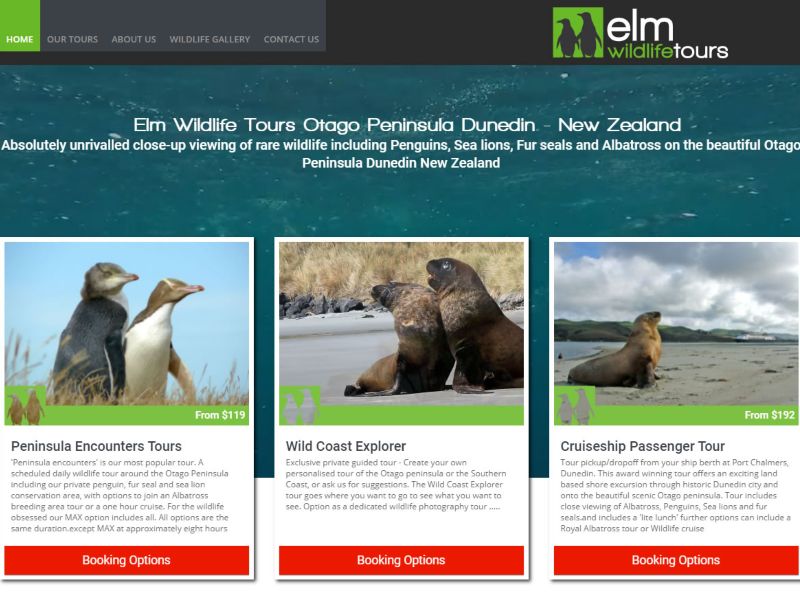 Elm Video on Homepage